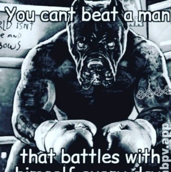 Meet your Posher, Mitchell - Picture 1 of 1